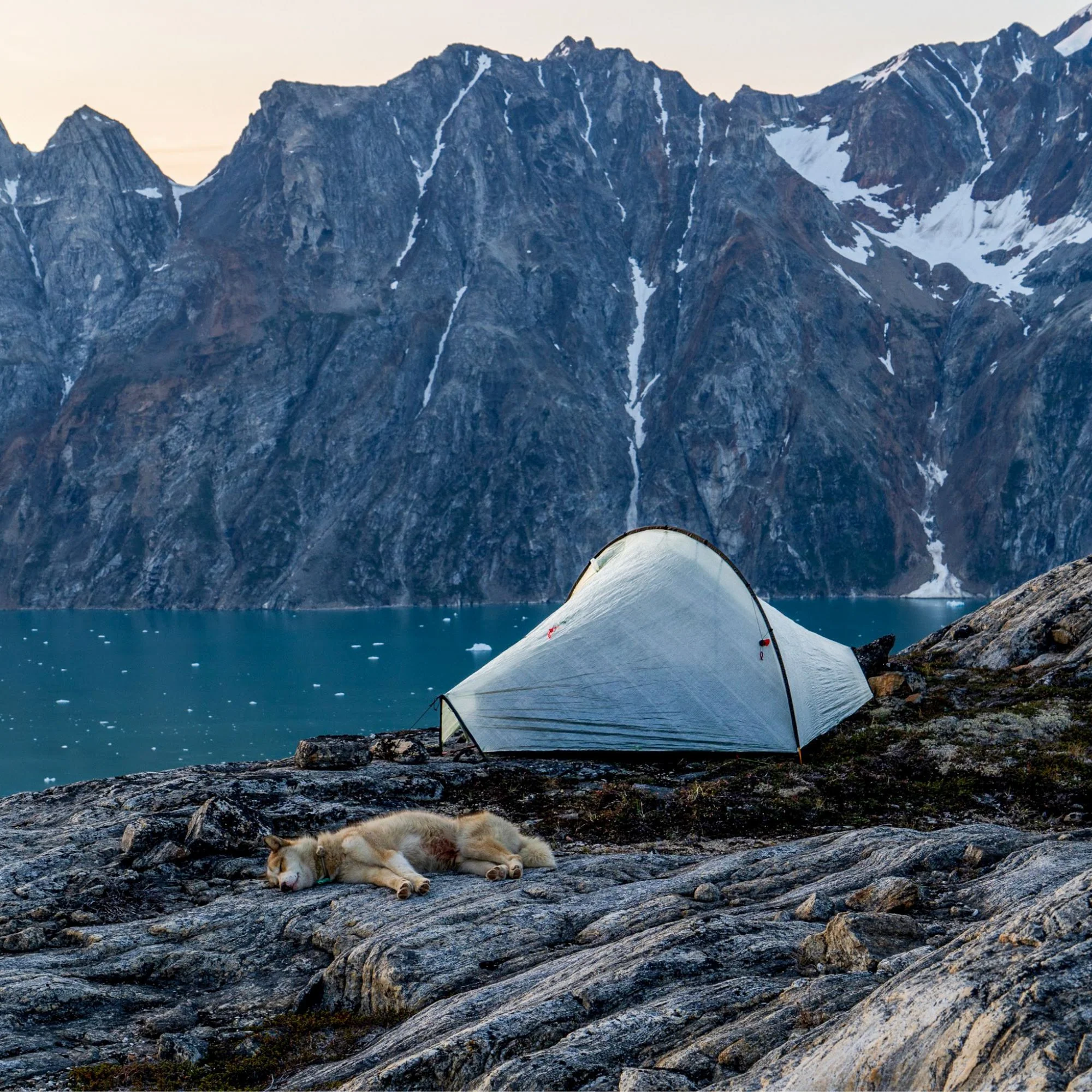 0.51 oz Dyneema® Composite Fabric CT1E.08 - Full Rolls - Image 8