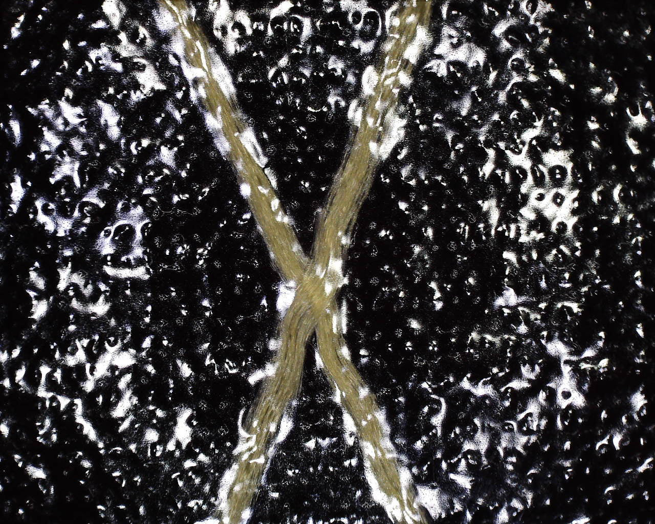 X-Pac® X50 Tactical - Image 12